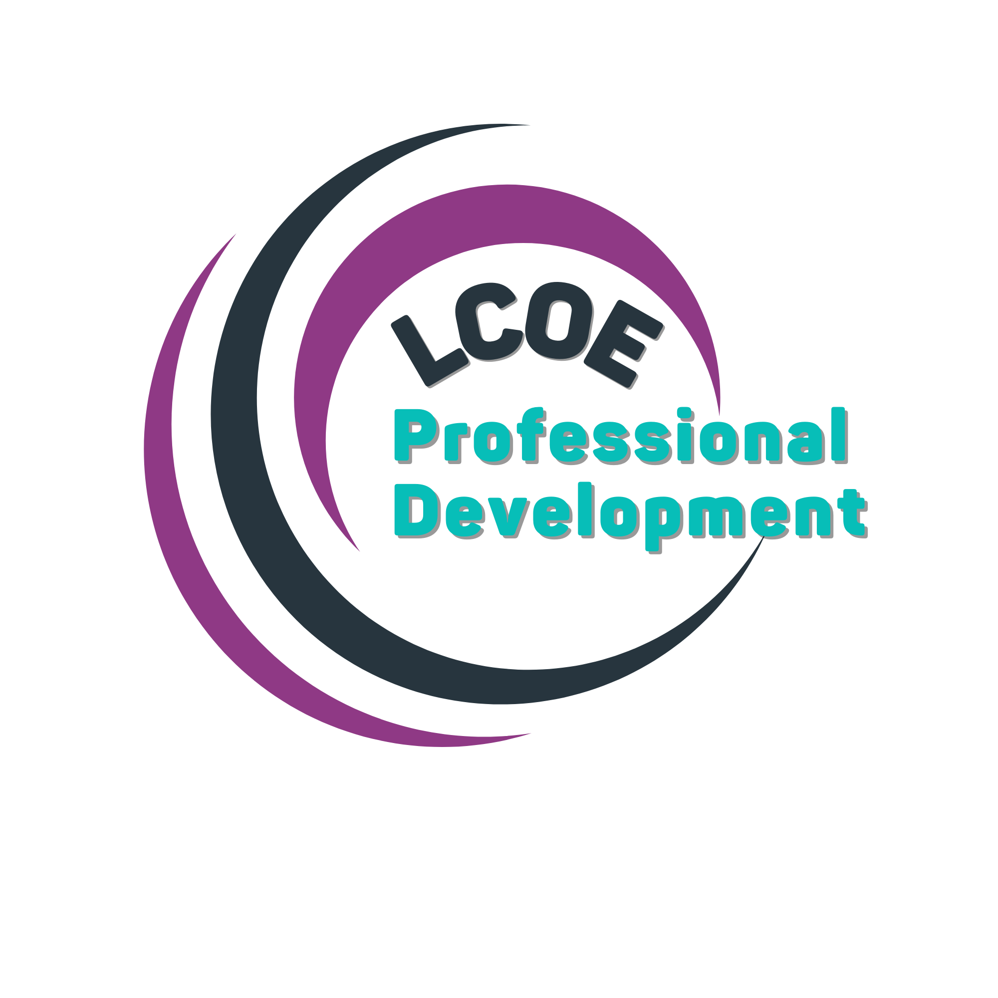 LCOE Professional Development 