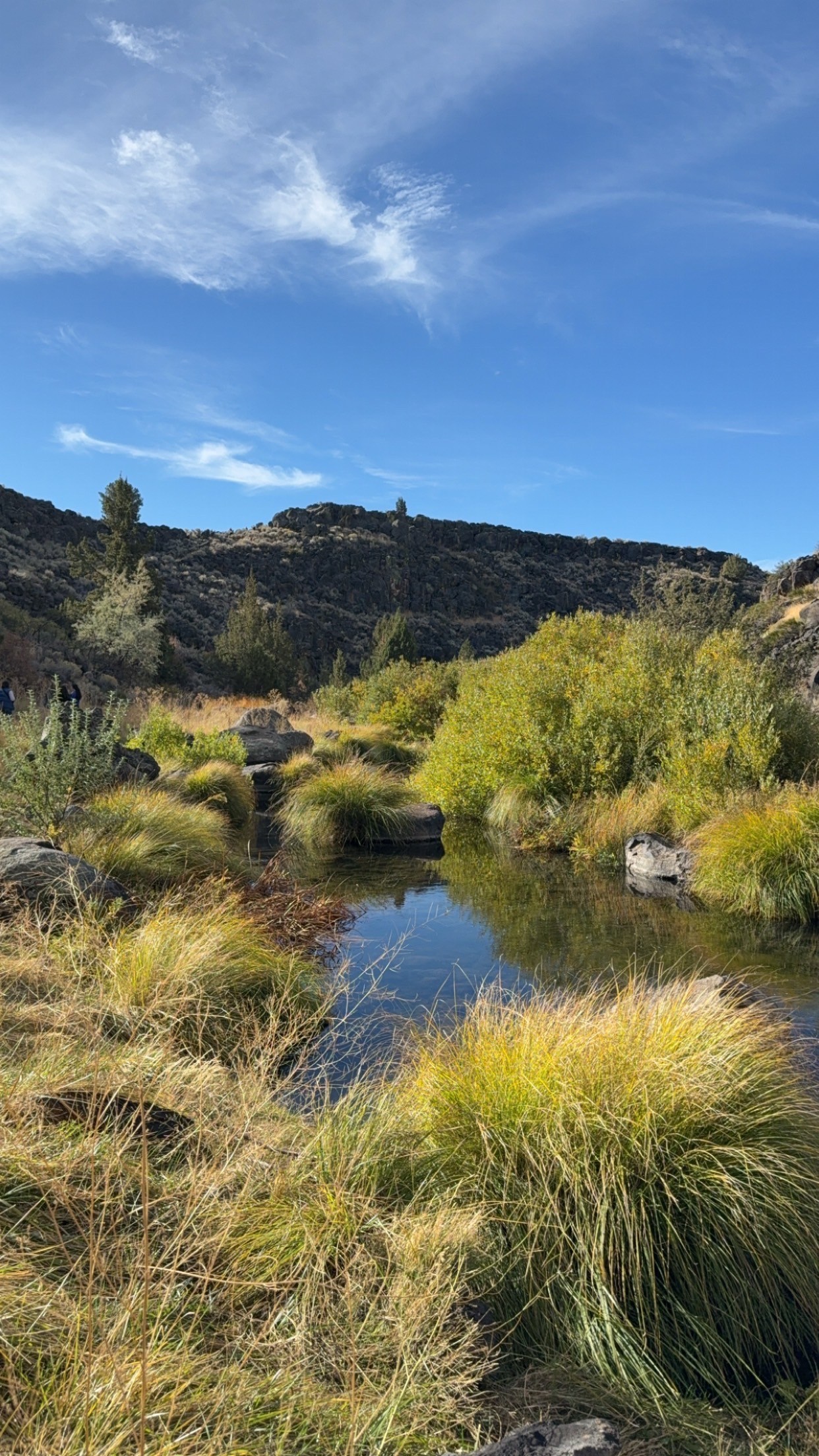 Fifth Grade Day in the Desert - Desert Landscape